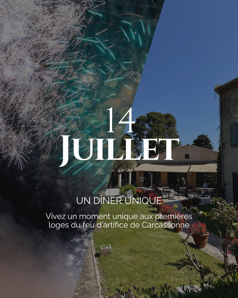 14 Juillet à Carcassonne – Une soirée aux premières loges du feu d’artifice ! mc feu v2 mc feu v2