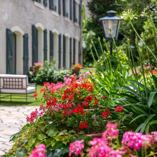 Garden 3